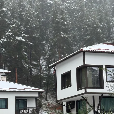 Everwood & Restaurant 3*